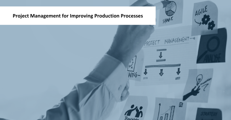 Portada Project Management for Improving Production Processes